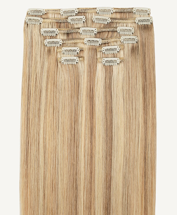 16" Classic Clip-Ins (100g)